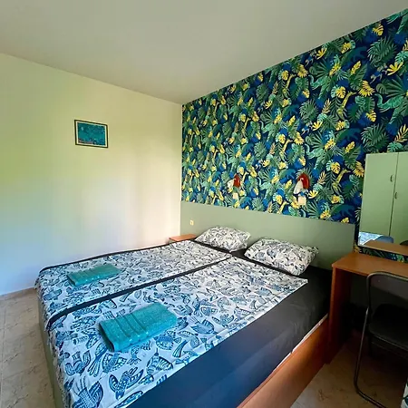 Kambani Arnel , Marina Sveti Vlas